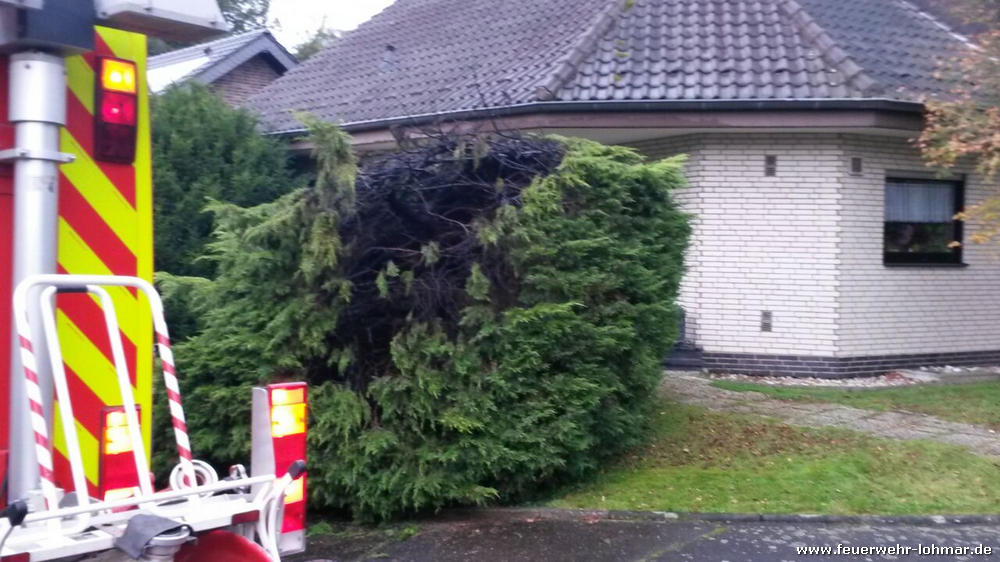 Klickvergrößerung